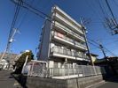 シルフィード柏の外観画像