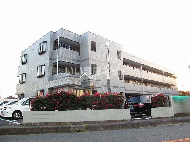 サンゴールドシマムラの外観画像