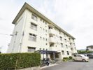 森山グリーンマンションの外観画像