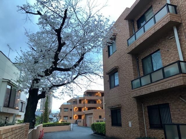 コート西早稲田の外観画像