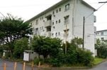 根貝戸団地2号棟の外観画像