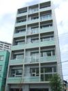 インゲンの外観画像