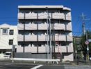 スカイコートパレス鷺沼の外観画像