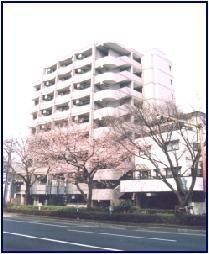 サウザンドリバーの外観画像