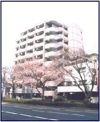 サウザンドリバーの外観画像