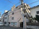 スカイコート金町第4の外観画像