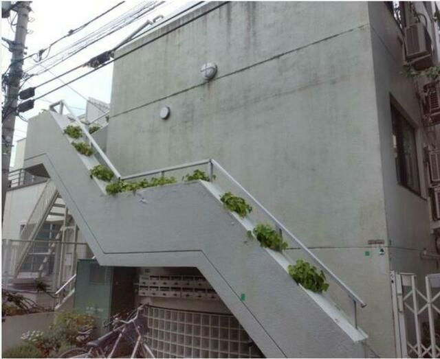 TDビルの外観画像