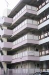 メゾン平井の外観画像