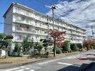 吹上団地 12号棟 1階の外観画像