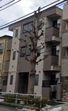 グランパ八王子の外観画像