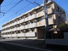 ヴィブァン大橋の外観画像