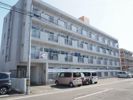 プチメゾン鶴島の外観画像