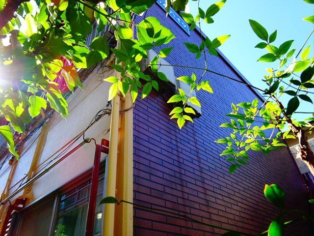 藤の木ハイツの外観画像