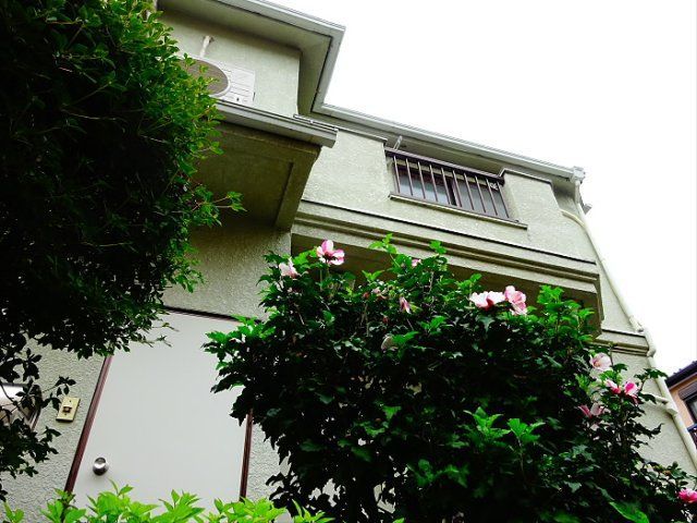 マメゾン羽根木の外観画像
