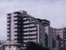 中野桃園シティハウスの外観画像