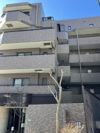 日神パレステージ駒場の外観画像