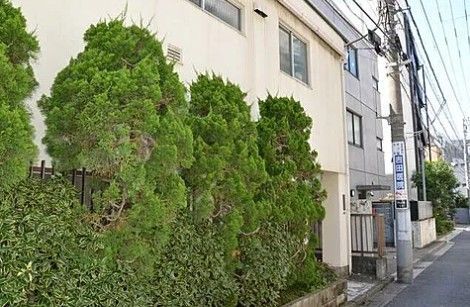 ドミセラベルスの外観画像