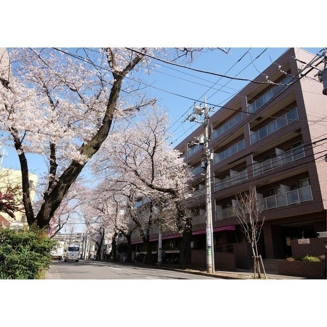 コンフォリアたまプラーザの外観画像