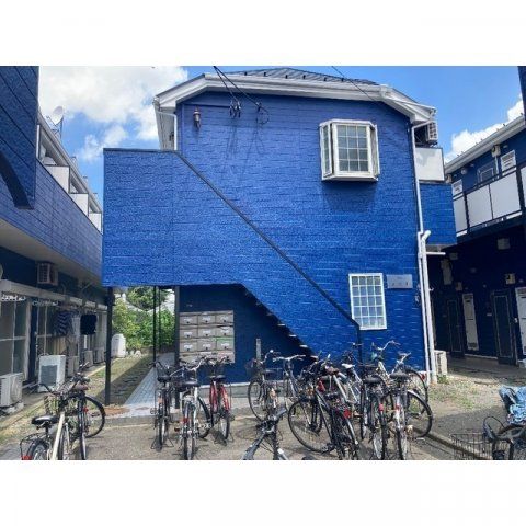 エビネの外観画像