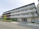 プレール・ドゥーク元住吉の外観画像
