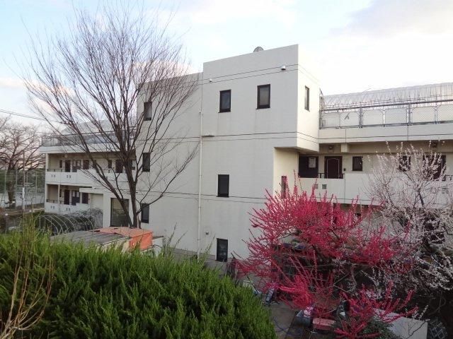 アライズⅡの外観画像