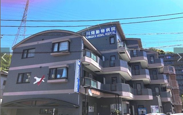 リージェントコーポの外観画像