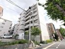 スティングの外観画像