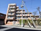 ライオンズマンション竹の塚第5の外観画像