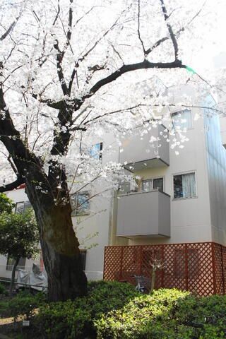 brancheの外観画像