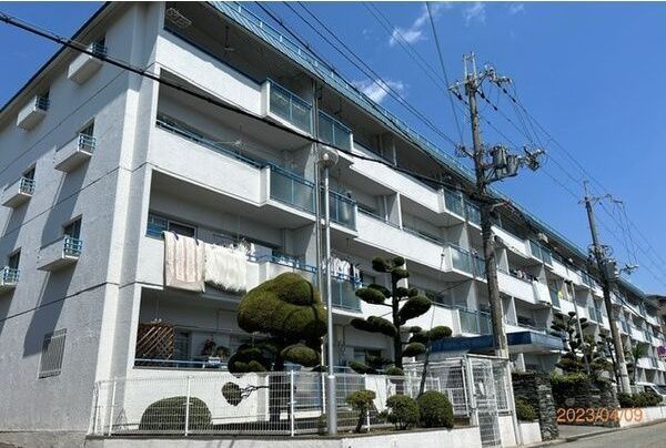 ハイツ桃山の外観画像