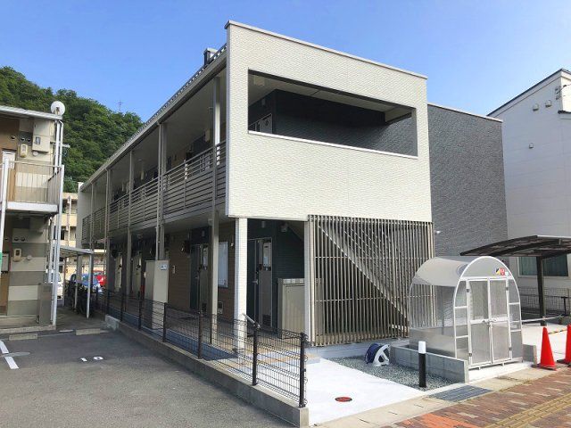 クレイノファレノプシスの外観画像