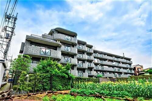 ライオンズヒルズ成増の外観画像