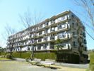ライブタウン湘南野比5号棟の外観画像