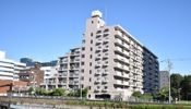 大島ファミール恩賜公園の外観画像