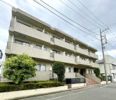 ベルファース川口仲町の外観画像