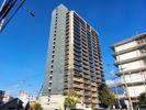 クラースタワー松山駅前の外観画像