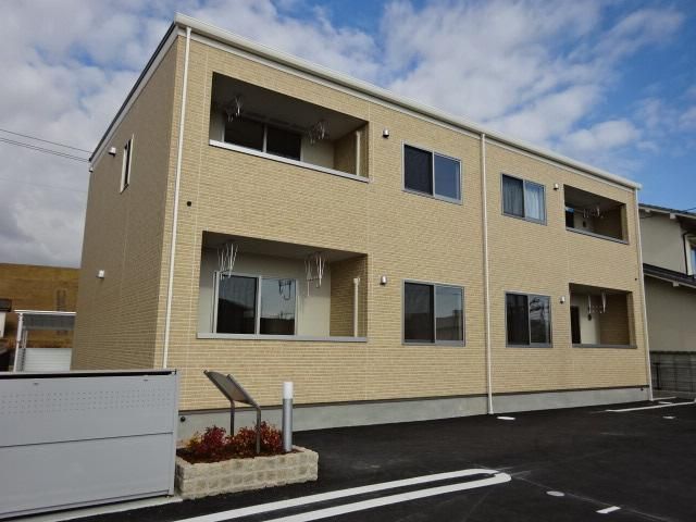 クスノキの外観画像