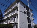 綾瀬フラワーマンションの外観画像