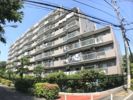アルス成増の外観画像