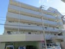 京急本線 横須賀中央 徒歩9分 貸マンションの外観画像
