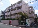 ペガサスマンション富士見ヶ丘の外観画像