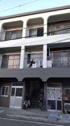 メゾンウイステリア（旧グリーンビル東棟）の外観画像