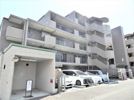 ライオンズプラザ武蔵新城の外観画像