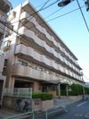 日神パレステージ豊玉第2の外観画像