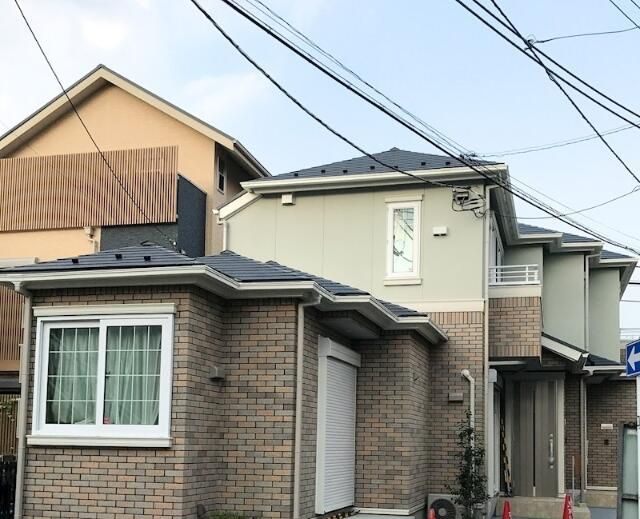 ニレの木の外観画像