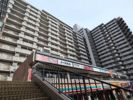 コア・スターレ西大井の外観画像
