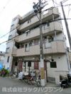 ポインセチアの外観画像