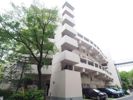 豊中野畑団地弐号棟の外観画像