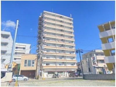 サテンドール黒髪の外観画像