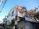 住吉コーポの外観画像